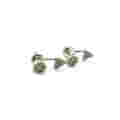 New Design for Woman′s Earring 925 Silver Jewelry (E6510)